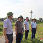Đồng chí Trần Văn Hiến – Phó chủ tịch UBND huyện kiểm tra tiến độ sản xuất vụ Đông năm 2024