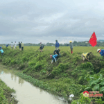 Xã Yên Sơn ra quân làm giao thông thủy lợi nội đồng