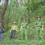 Đội Cảnh sát PCCC&CHCN số 5 và Hạt Kiểm lâm huyện kiểm tra công tác PCCCR tại Cty TNHH 1 Thành viên Lâm nghiệp Đô Lương