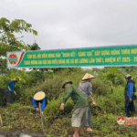 Cán bộ, hội viên nông dân xã Đô Lương ra quân phát dọn, chăm sóc làn cây tuyến đường rộng 45m chào mừng Đại hội Đại biểu Đảng bộ xã lần thứ 1, nhiệm kỳ 2025- 2030