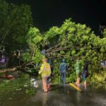 Thiệt hại do bão số 5 tính đến 8h ngày 26/8/2025 trên địa bàn xã Đô Lương, tỉnh Nghệ An