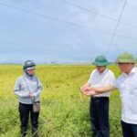 Đồng chí Hoàng Văn Hiệp – Tỉnh ủy viên, Bí thư Đảng ủy, Chủ tịch HĐND xã Đô Lương kiểm tra tình hình thiệt hại do mưa lớn gây ra.